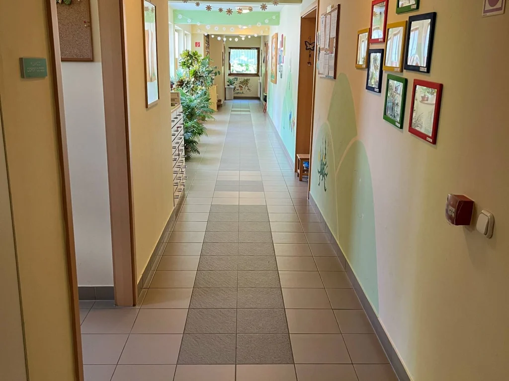 Pitypangos-galéria9